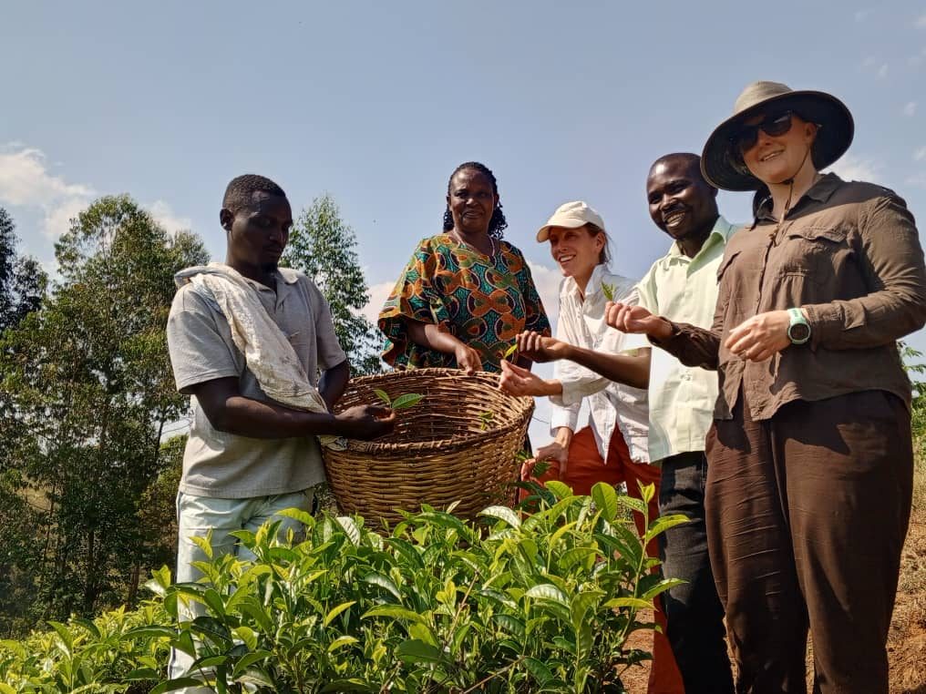 A group sharing a basket of fresh harvest