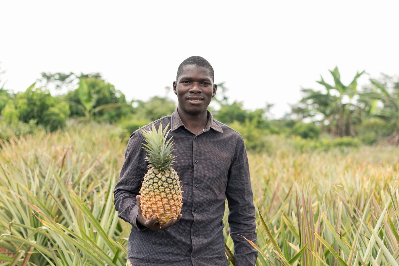 A LAGRAINE farmer holding a freshly harvested pineapple in the field